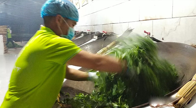 電氣化制茶成主流，蒸汽發(fā)生器讓制茶無(wú)煙化，實(shí)現(xiàn)零排放的環(huán)保目標(biāo)